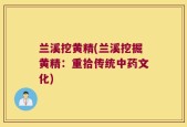 兰溪挖黄精(兰溪挖掘黄精：重拾传统中药文化)