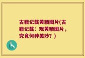 古籍记载黄精图片(古籍记载：观黄精图片，究竟何种美妙？)