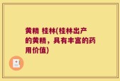 黄精 桂林(桂林出产的黄精，具有丰富的药用价值)