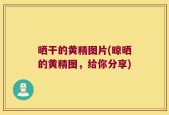 晒干的黄精图片(晾晒的黄精图，给你分享)