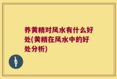 养黄精对风水有什么好处(黄精在风水中的好处分析)