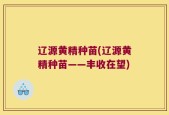 辽源黄精种苗(辽源黄精种苗——丰收在望)