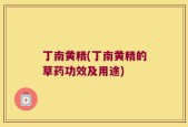 丁南黄精(丁南黄精的草药功效及用途)