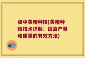 资中黄精种植(黄精种植技术详解：提高产量和质量的有效方法)
