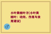 小叶黄精叶子(小叶黄精叶：功效、作用与食用建议)