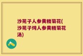 沙苑子人参黄精菊花(沙苑子炖人参黄精菊花汤)