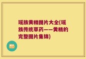 瑶族黄精图片大全(瑶族传统草药——黄精的完整图片集锦)