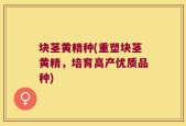 块茎黄精种(重塑块茎黄精，培育高产优质品种)