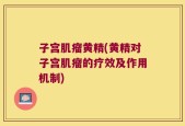 子宫肌瘤黄精(黄精对子宫肌瘤的疗效及作用机制)