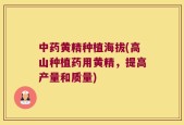 中药黄精种植海拔(高山种植药用黄精，提高产量和质量)