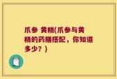 爪参 黄精(爪参与黄精的药膳搭配，你知道多少？)