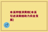 本溪种植滇黄精(本溪引进滇黄精助力农业发展)