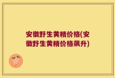 安徽野生黄精价格(安徽野生黄精价格飙升)