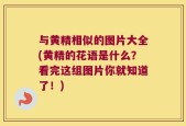 与黄精相似的图片大全(黄精的花语是什么？看完这组图片你就知道了！)