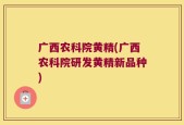 广西农科院黄精(广西农科院研发黄精新品种)