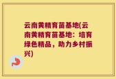 云南黄精育苗基地(云南黄精育苗基地：培育绿色精品，助力乡村振兴)