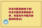 玖龙华医黄精栀子参(玖龙华医研发黄精栀子参，有望成为中医药新疆域的焦点)