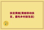 扶贫黄精(黄精带动扶贫，重构乡村新生态)