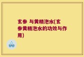 玄参 与黄精泡水(玄参黄精泡水的功效与作用)