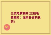 三枝龟黄精片(三枝龟黄精片：滋阴补肾的良药)