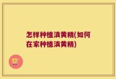 怎样种植滇黄精(如何在家种植滇黄精)