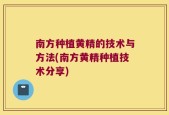 南方种植黄精的技术与方法(南方黄精种植技术分享)