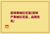 昆明黄精红花苗(昆明产黄精红花苗，品质优良)