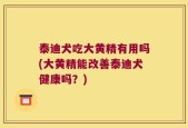 泰迪犬吃大黄精有用吗(大黄精能改善泰迪犬健康吗？)
