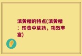 滇黄精的特点(滇黄精：珍贵中草药，功效丰富)