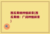 西瓜黄精种植前景(西瓜黄精：广阔种植前景)