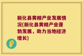 新化县黄精产业发展情况(新化县黄精产业蓬勃发展，助力当地经济增长)