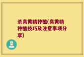 杀高黄精种植(高黄精种植技巧及注意事项分享)