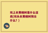 坟上长黄精树是什么征兆(坟头长黄精树预示什么？)