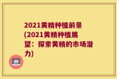 2021黄精种植前景(2021黄精种植展望：探索黄精的市场潜力)