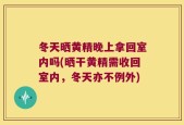 冬天晒黄精晚上拿回室内吗(晒干黄精需收回室内，冬天亦不例外)