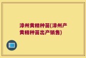 漳州黄精种苗(漳州产黄精种苗出产销售)