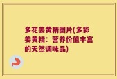 多花姜黄精图片(多彩姜黄精：营养价值丰富的天然调味品)