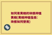如何用黄精的块根种植黄精(黄精种植指南：块根如何使用)