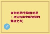 来到新晃种黄精(新晃：寻访传承中医智慧的黄精之乡)