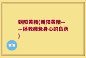 朝阳黄精(朝阳黄精——拯救疲惫身心的良药)
