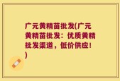 广元黄精苗批发(广元黄精苗批发：优质黄精批发渠道，低价供应！)