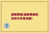 固精黄精(固精黄精的功效与作用详解)
