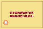 冬季黄精苗储存(储存黄精苗的技巧在寒冬)