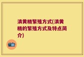 滇黄精繁殖方式(滇黄精的繁殖方式及特点简介)