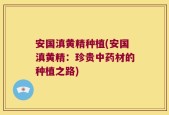 安国滇黄精种植(安国滇黄精：珍贵中药材的种植之路)