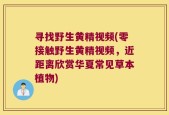 寻找野生黄精视频(零接触野生黄精视频，近距离欣赏华夏常见草本植物)