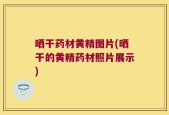 晒干药材黄精图片(晒干的黄精药材照片展示)