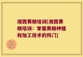 湘西黄精培训(湘西黄精培训：掌握黄精种植和加工技术的窍门)