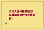 云南大棚种植黄精(云南黄精大棚种植现状简析)