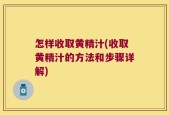 怎样收取黄精汁(收取黄精汁的方法和步骤详解)